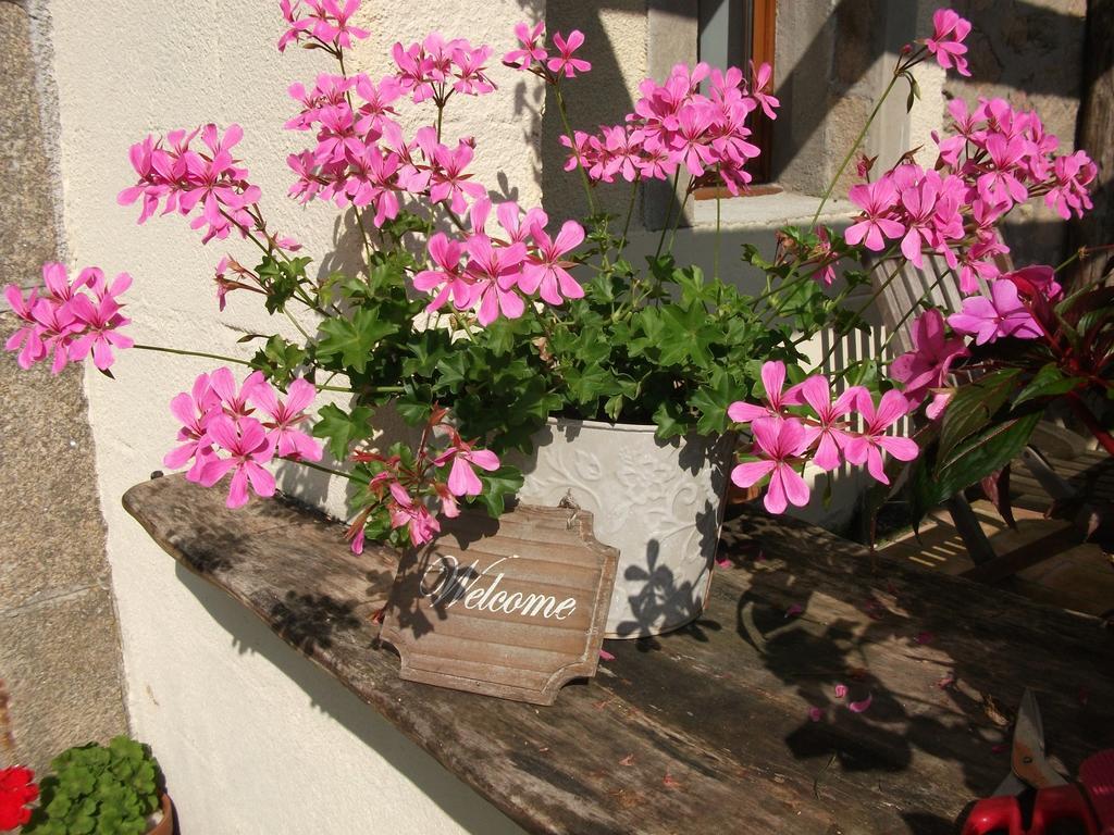 Bed and Breakfast 38 Friaudour Saint-Pardoux-lʼOrtigier Esterno foto