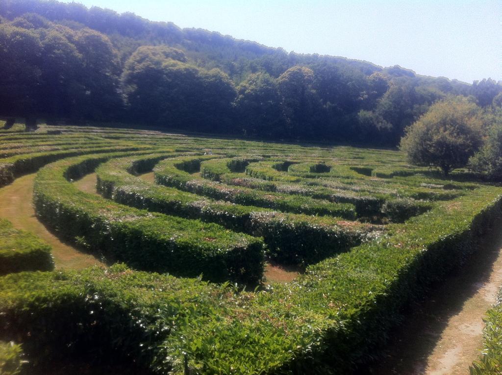 Bed and Breakfast 38 Friaudour Saint-Pardoux-lʼOrtigier Esterno foto
