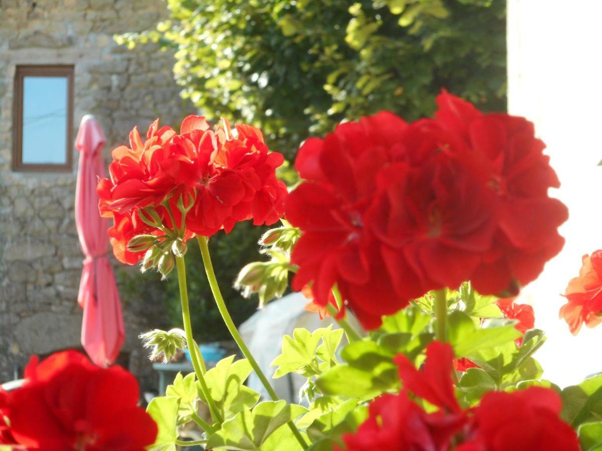 Bed and Breakfast 38 Friaudour Saint-Pardoux-lʼOrtigier Esterno foto