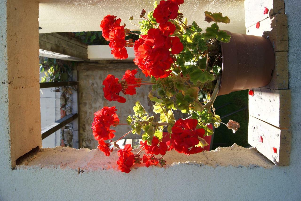 Bed and Breakfast 38 Friaudour Saint-Pardoux-lʼOrtigier Esterno foto